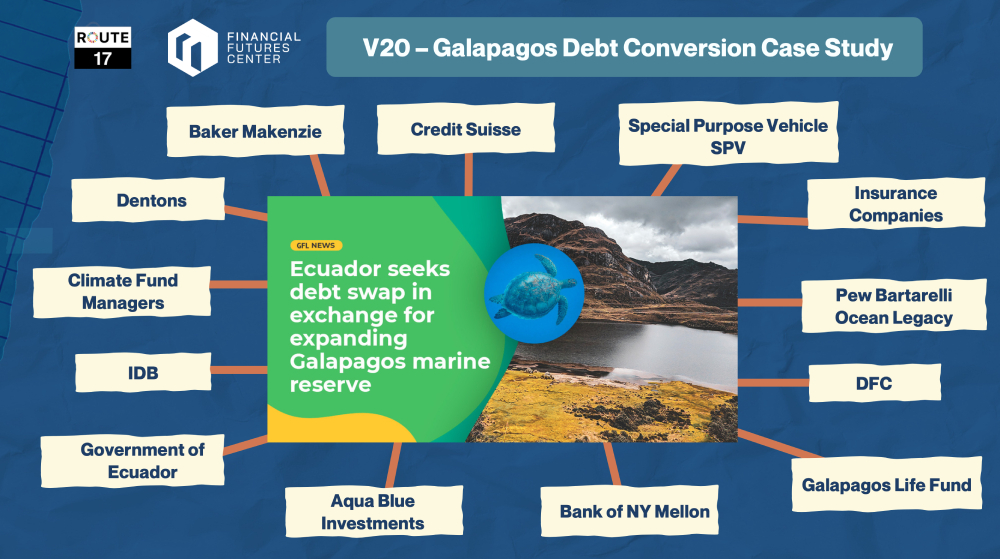 Galapagos Debt Conversion Case Study